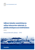 Julkisen talouden suunnitelman ja valtion talousarvion valmistelu- ja päätöksentekoprosessin kehittäminen