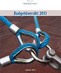 Budgetöversikt 2015, våren