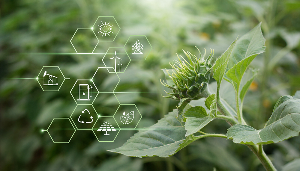 Green energy diagram symbols