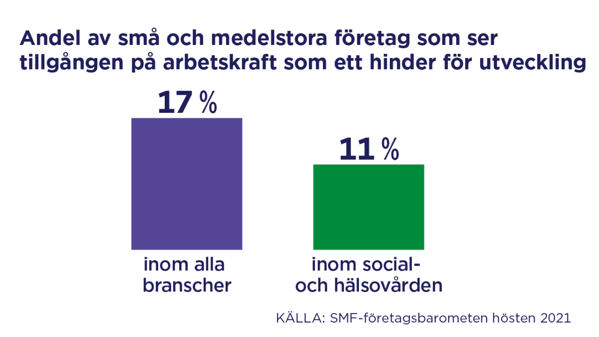 Andel av små och medelstora företag som ser tillgången på arbetskraft som ett hinder för utveckling: 17 % inom alla branscher och 11 % inom social- och hälsovården.