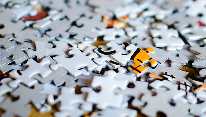 The pieces of the puzzle.